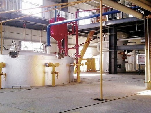 china peanut oil mill soybean sunflower seed oil press in the united arab emirates