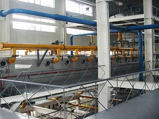 15-20kg/h medium size oil production line hj p30