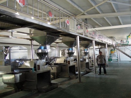 good service sesame oil production line grape seed oil