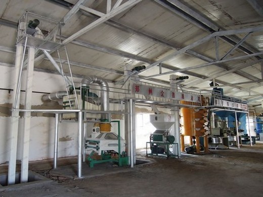 nut meat cold oil production line in pakistan