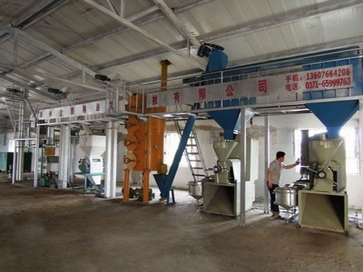 pumpkin seed oil automatic extraction production line machine