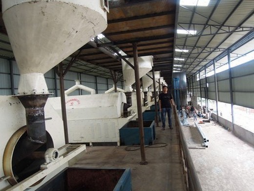 100tpd acacommercial sunflower seeds oil extract mill in armenia