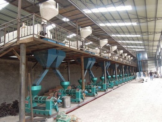 full automatic screw soybean seed oil production line