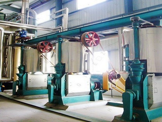 top quality groundnuts oil milling machine process