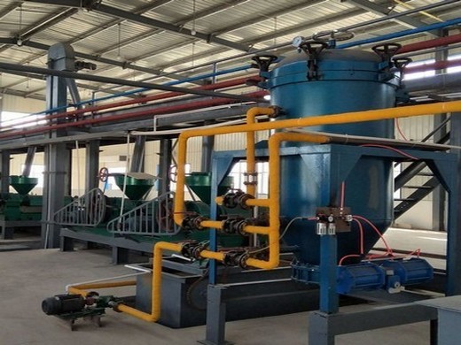 turnkey solutions for oil mill plant and flour mill project