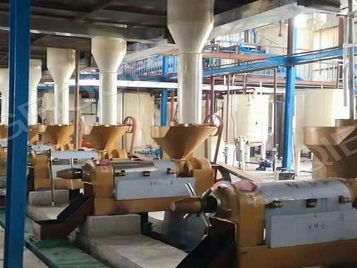 hot sale walnut oil production line oil extraction plant