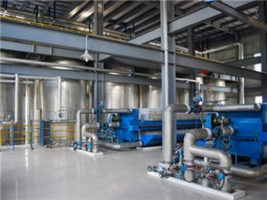 220v/110v big cold press soybean seed oil production line