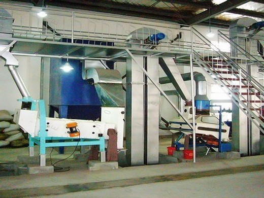 ed oil production line/sesame oil extractionmachine