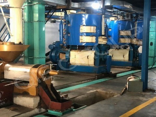 cheap peanut oil press machine for sale/peanut oil milling machine