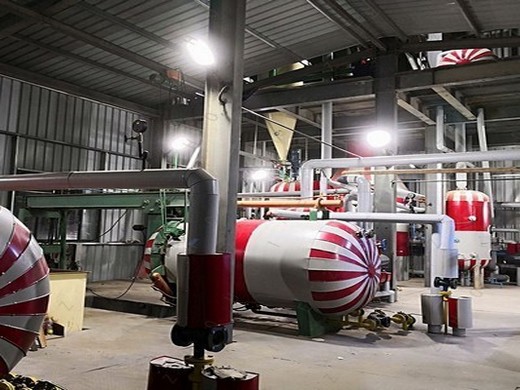 which is the best high capacity pinenut oil production line