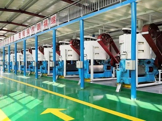 seed oil production line machine for big busi