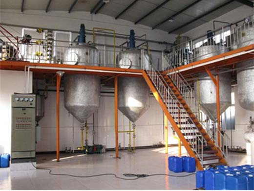 china teaseeds oil machine camellia oil refinery in singapore