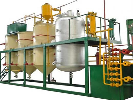 latest design high outlet big scale palm oil refining in burkina faso