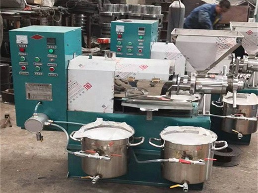 6yl-85 edible oil hot processing screw oil press in france