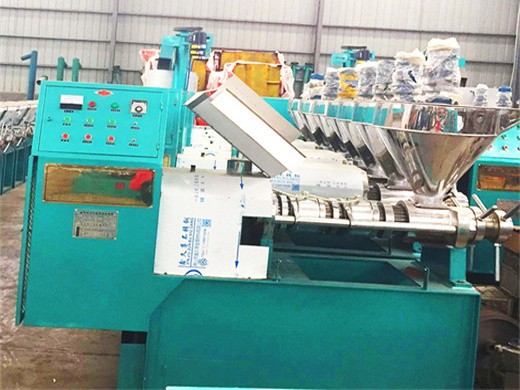 cold pressed argan corn germ oil processing machinemade in china