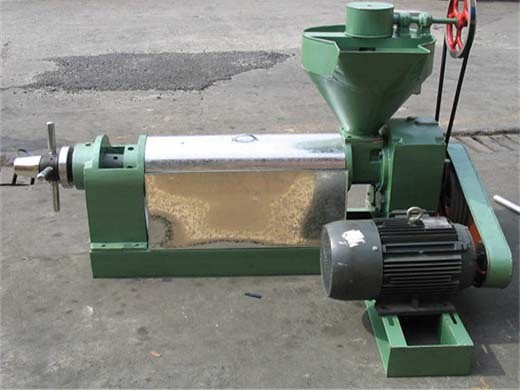 coconut seed oil extractor machine in dubai