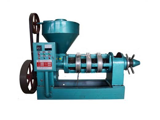 sunflower seed oil press machine reliable performance in gambia