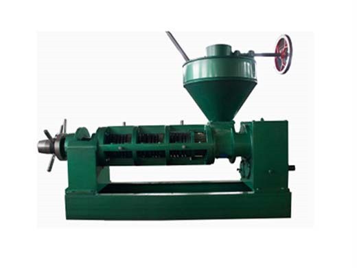 china peanut oil pressing machine for sale in russia