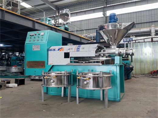with best price top selling cold press oil machine coconut