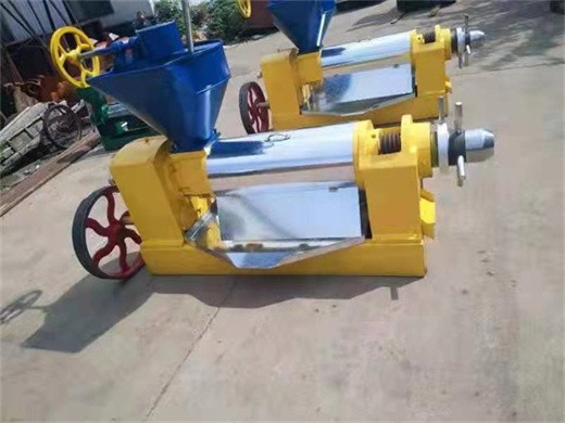 electric cold press oil machine walnut rapeseed sunflower