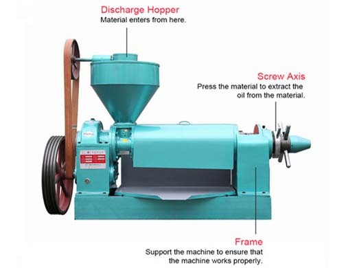 turkey sunflower oil pressing machine oil press turkey in kazakhstan