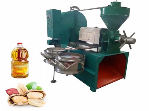 seeds oil cold press home oil maker in tanzania