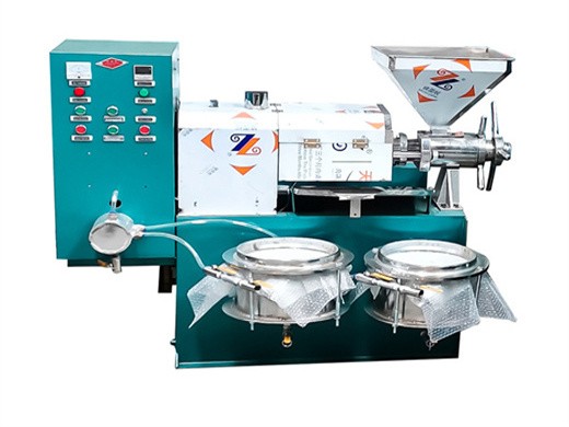 automatic oil press machine stainless