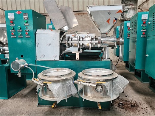 super quality walnut walnut kernel oil extracting machine working
