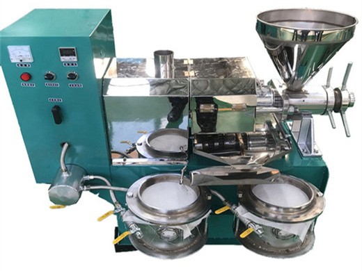 easy operation castor oil making machine rapeseed oil extractor on uzbekistan