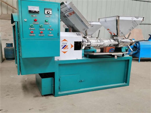made in china hot and cold press machine flax seed big scale oil
