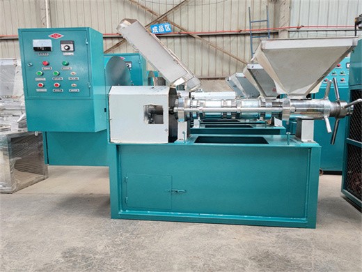 industrial food oil processing machine press machine in algeria