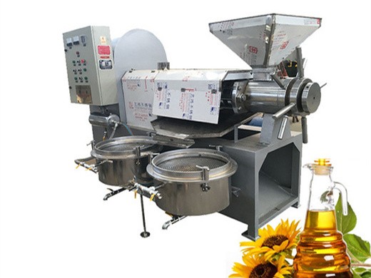 sunflower oil press – papas olio in burkina faso