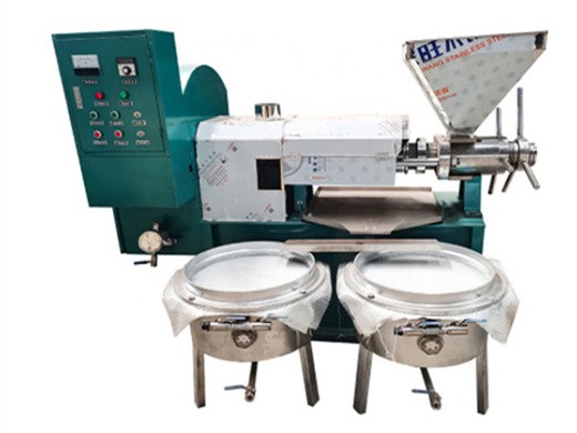 6yl-130 big screw oil press 250-400kg/h in dubai