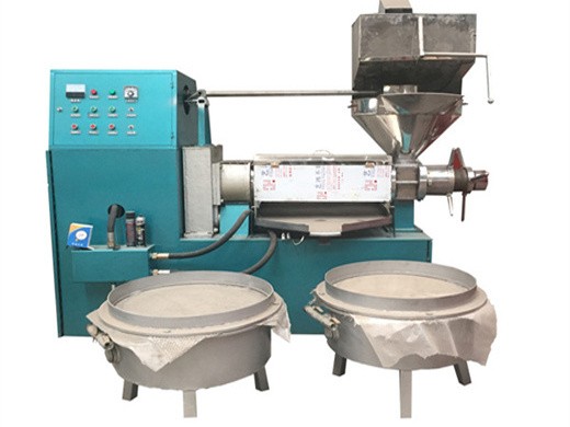 canola oil production machine in egypt