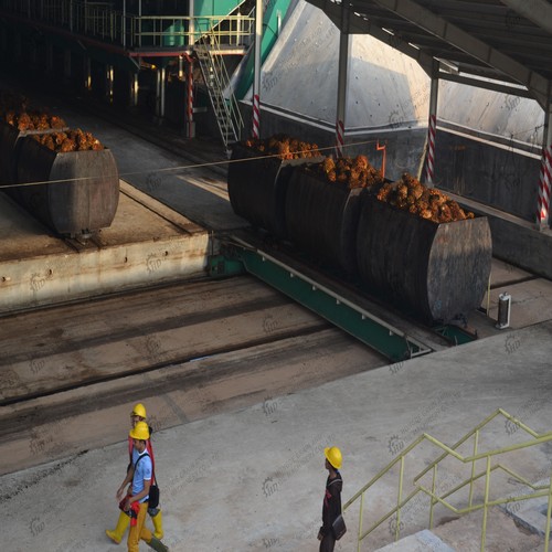 bangladesh manufacturer iso ce red palm oil production line