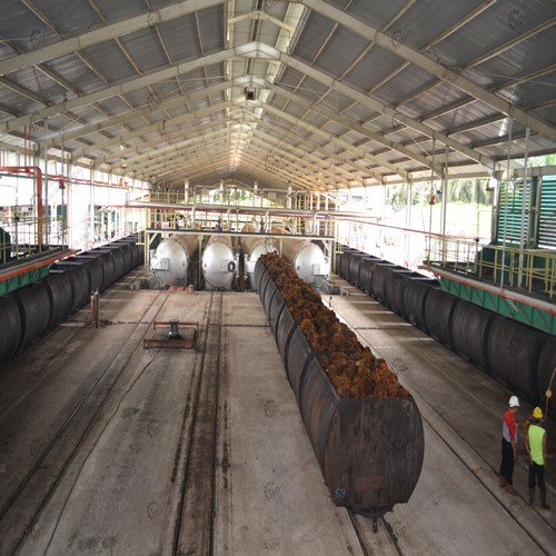 crude palm oil production line in mexico
