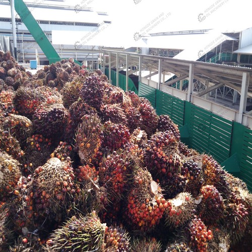 screw press palm oil mill – palmoilmillplant in Nigeria