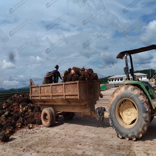 2026 production of palm oil press machine in Nigeria
