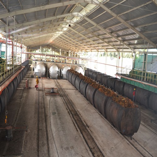 palm oil extraction machine price for cpo palm on colombia